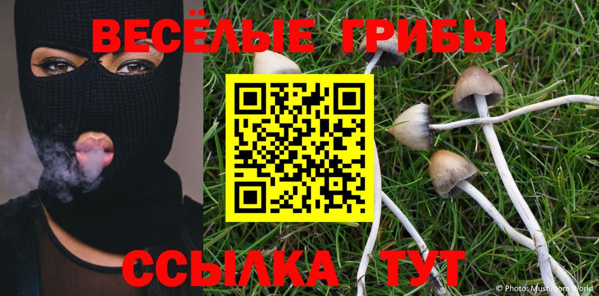Псилоцибиновые грибы Magic Shrooms  Вход с VPN  Сертолово 