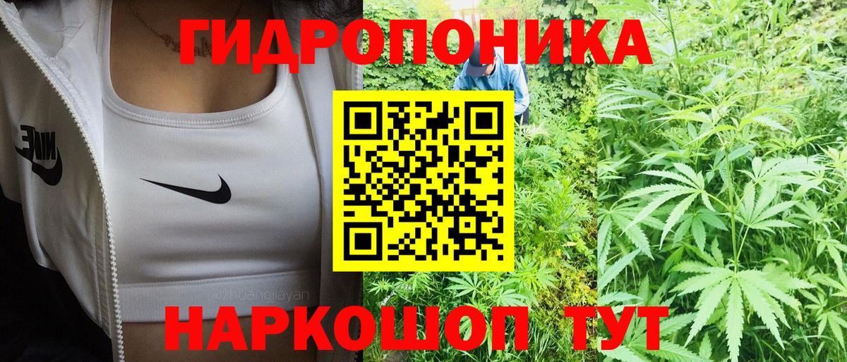 Шишки марихуана White Widow  Вход с VPN  Конопля SATIVA & INDICA  Сертолово  Марихуана Amnesia 